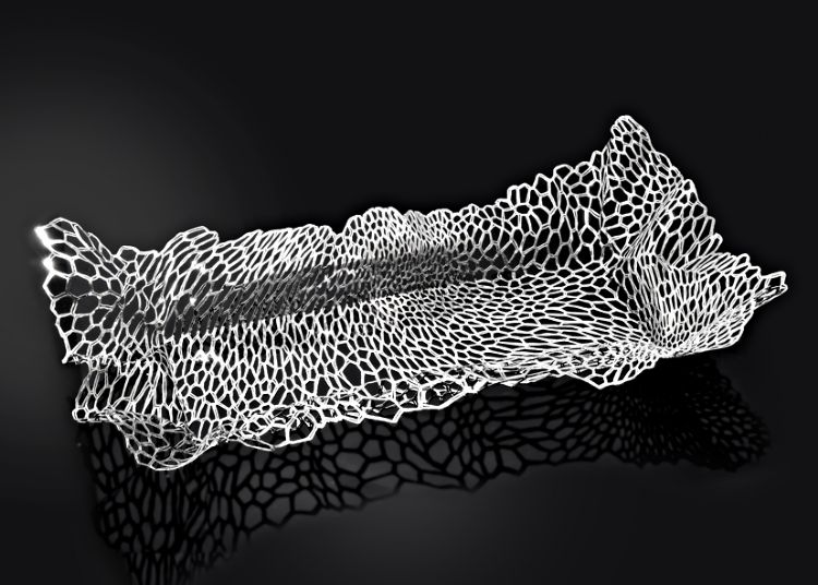 Organic-Lace-L